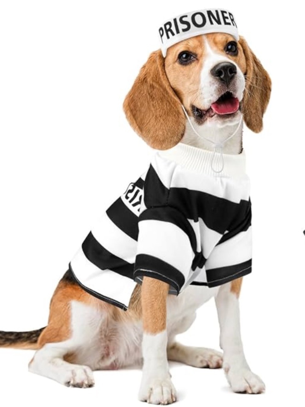 Prisoner Stripe Black & White Dog Costume - Apparel Set